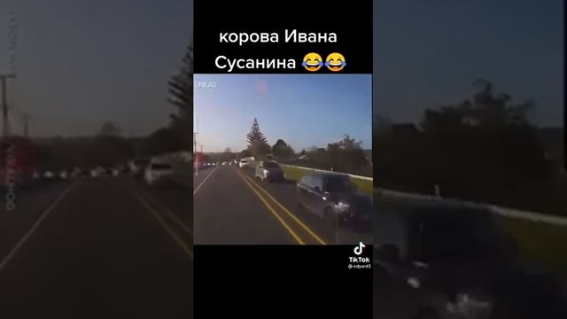 корова Ивана Сусанина смотреть онлайн