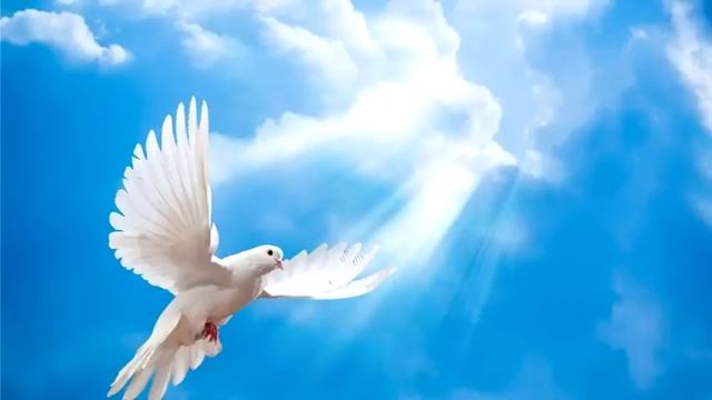 Ускорятся события и перемена. Киев Молодежная конференция. 25.06.2022г.