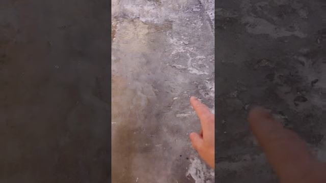 Отмостка в зимний период, часть вторая, предвесенняя.