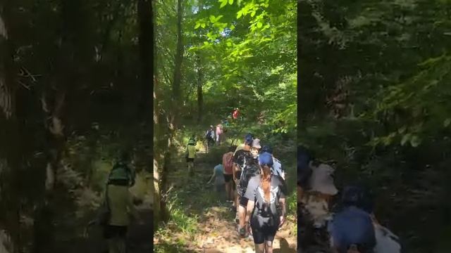 Планческие скалы