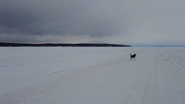 Van Build DIY Electrical Wiring | Mercedes Sprinter Van Trailer Hitch Install смотреть онлайн