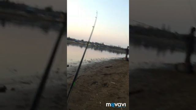 Фидер р.Луга 24.04.2019 года смотреть онлайн