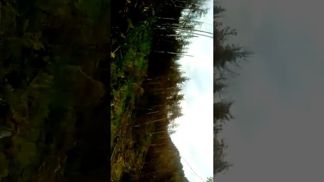 Машината на Ракитово смотреть онлайн