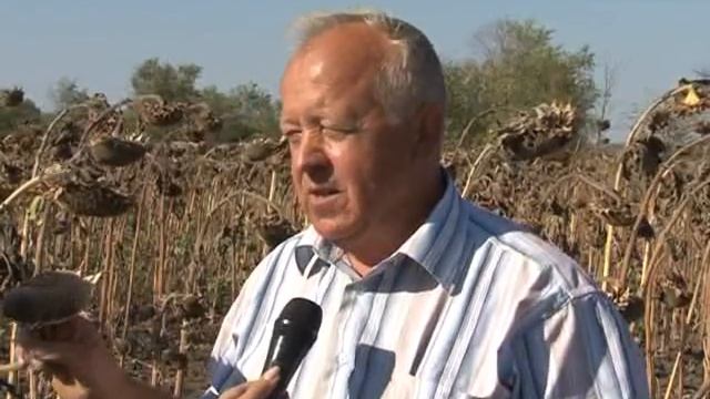 Уборка подсолнечника в Агростаре смотреть онлайн