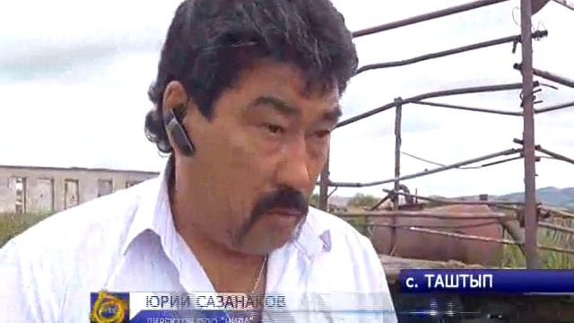 В Таштыпе разгорелся "коровий" конфликт смотреть онлайн