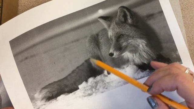 Design with Me: Drawing Stained Glass Patterns from Photographs- Sea Turtle, Ballet Shoes, Red Fox смотреть онлайн