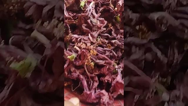 # short# trending# video# смотреть онлайн