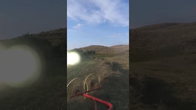 Грабли ворошилки смотреть онлайн