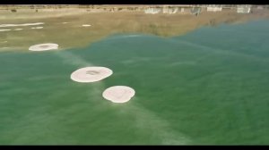 ЛУИЗА ХЕЙ АФФИРМАЦИИ БЛАГОДАРНОСТИ. Практика Благодарности. МЕДИТАЦИЯ БЛАГОДАРНОСТИ.