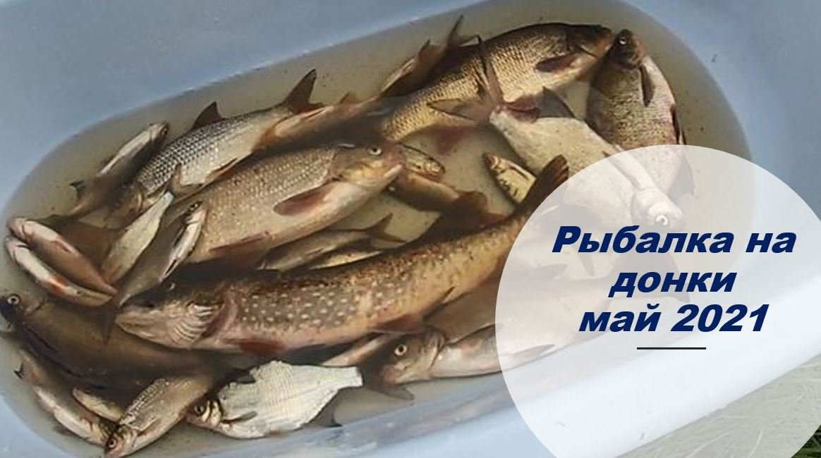 Весенняя рыбалка на малой речке))) Открытие сезона 2021!!!