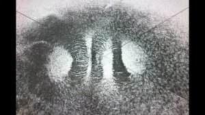 Экранирование магнитных полей.