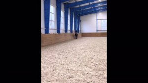 Влог с конюшни.Мой первый урок по выездке. Моя история и начало коноблога.