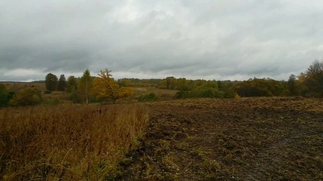 НАХОДКИ ЗА ТРАКТОРОМ. смотреть онлайн