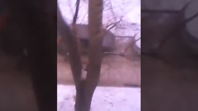 Парень воспитывает своего пьяньго свекра