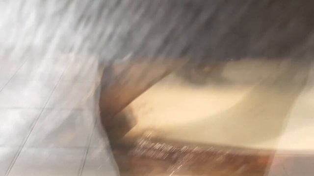 3 Д рисунки СМЕШНЫЕ ЖИВОТНЫЕ Лиза и Вова смотреть онлайн