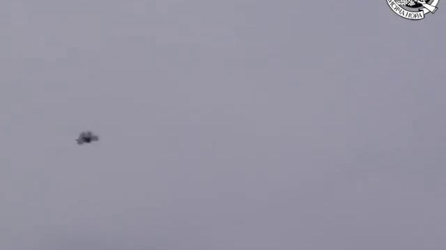 Охота на серую ворону смотреть онлайн
