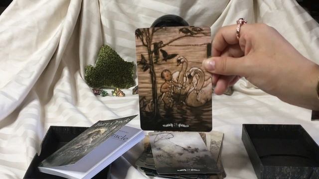 Fairy Oracle Review and Mini Reading смотреть онлайн