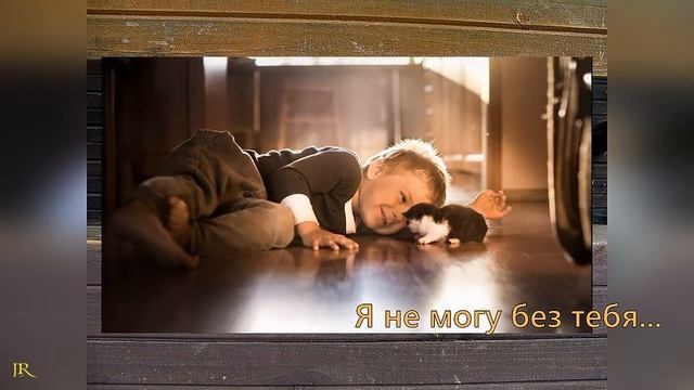 Всемирный День домашних животных. 30 ноября. смотреть онлайн