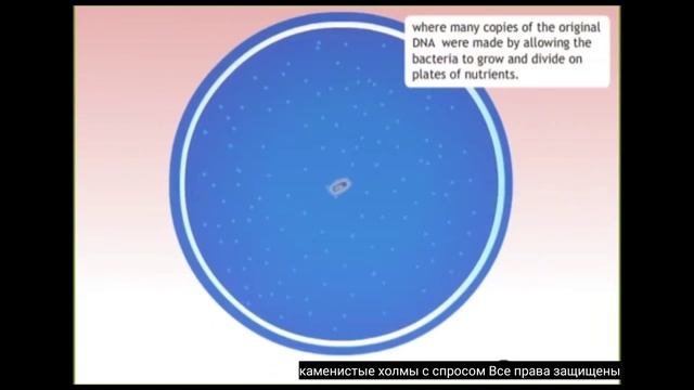 «Геном человека» смотреть онлайн