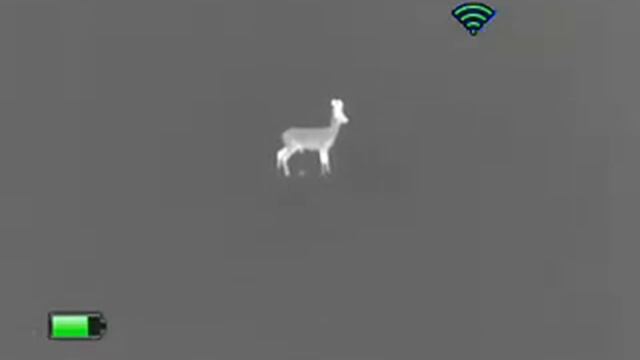 Night Pearl IR 510Xnw srnec a srna смотреть онлайн