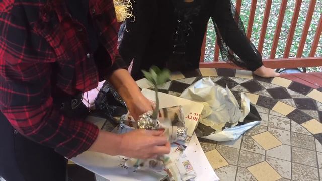 Снова посылка с новыми растениями! Адениум. Happy Halloween -)) смотреть онлайн