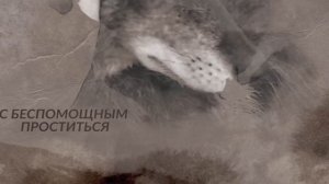 Виктор Назаров - Про собак #стихи #викторназаров #поэзия