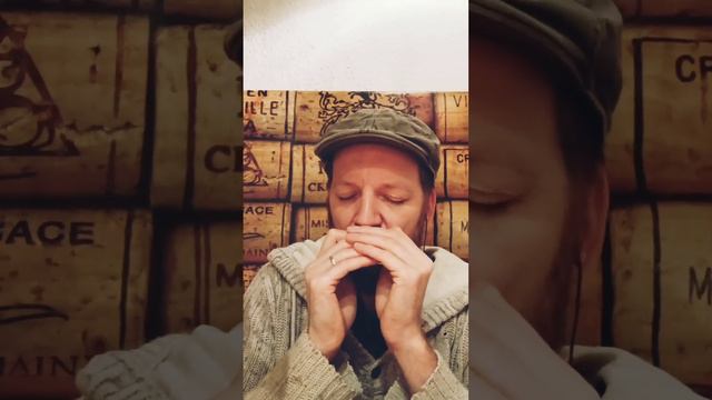 Golden Slippers (Key of A, 110 BPM) - Harmonica @bbtbluegrassbackingtracks смотреть онлайн