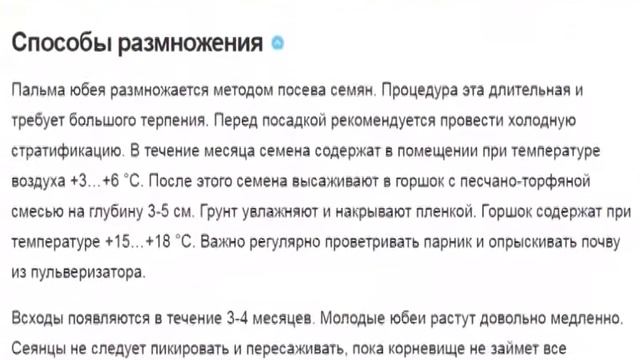 Юбея – монументальная красота слоновьей пальмы смотреть онлайн