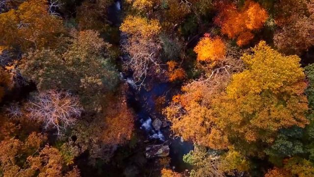 Спокойная Расслабляющая музыка для медитации и сна! #meditation #music #relax #relaxingmusic смотреть онлайн