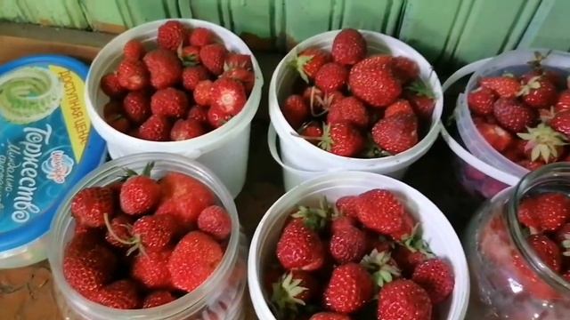 Сколько можно заработать на продаже клубники смотреть онлайн