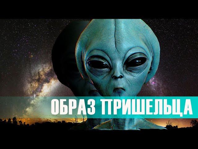 Образ пришельца. Самые шокирующие гипотезы (23.08.2019).
