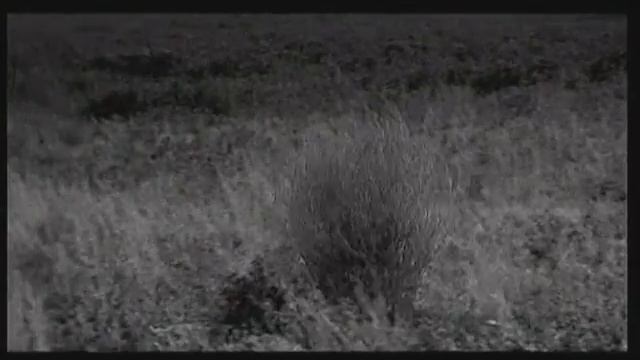 Stuart Foster "Sympathy" Directed by Nick Burgess-Jones. смотреть онлайн
