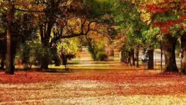 Старый парк