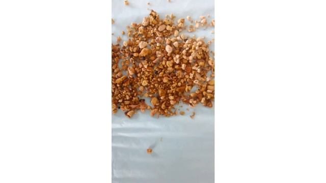 Энзимы и для чего они нам нужны. смотреть онлайн