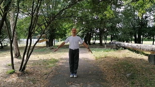 Восемь кусков парчи, Ба Дуань Цзин, Eight Pieces Of Brocade,《八段锦》, Цигун