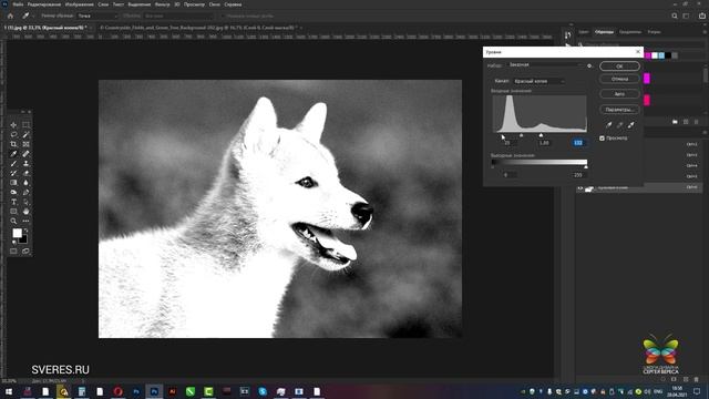 Как удалить фон помощью каналов в Фотошопе? (Как вырезать сложный объект?) Уроки Фотошопа с нуля. смотреть онлайн