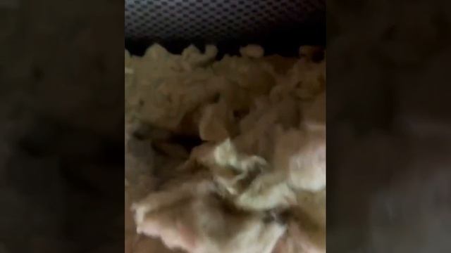 Ряд ошибок, которые приводят к образованию конденсата смотреть онлайн