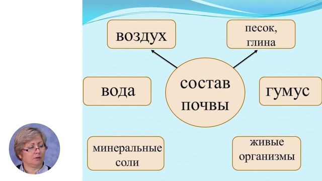 Познание мира, 3-й класс, Почва. Состав почвы смотреть онлайн