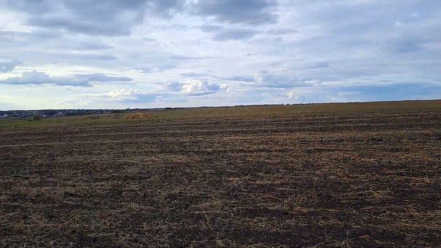 Это место у старой дороги я обходил стороной, а зря!!! Много находок на старом поле у дороги. смотреть онлайн