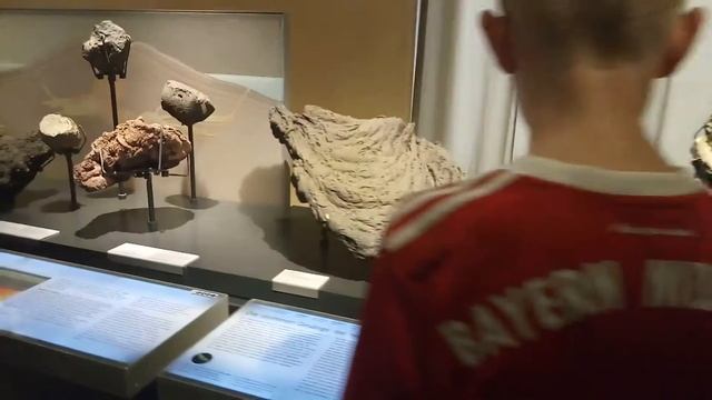 Naturkundemuseum Berlin смотреть онлайн