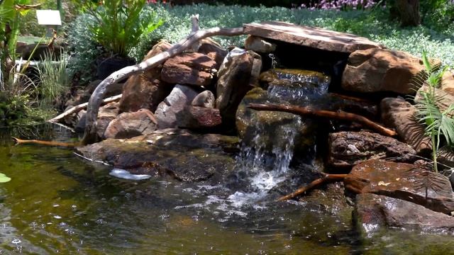 Canon XA50 4K Test Video смотреть онлайн