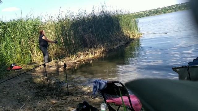 Толстолоб завел в камыш, пришлось сплавать за ним смотреть онлайн