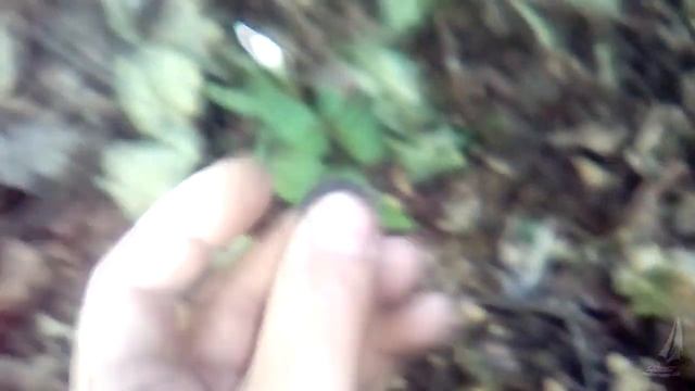 Коп. Серебряный Крестик смотреть онлайн