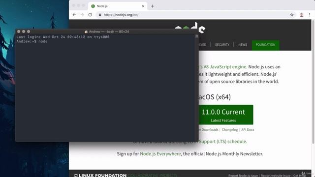 #4 Installing Node js and Visual Studio Code смотреть онлайн