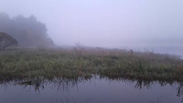 Река Сясь, Ленинградская область, (впадает в Ладогу) смотреть онлайн