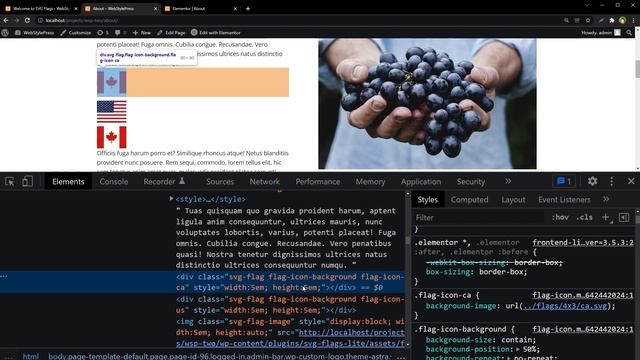 Display SVG Flags in WordPress Anywhere | Country Flags SVG Icons | Wordpress Tutorial смотреть онлайн