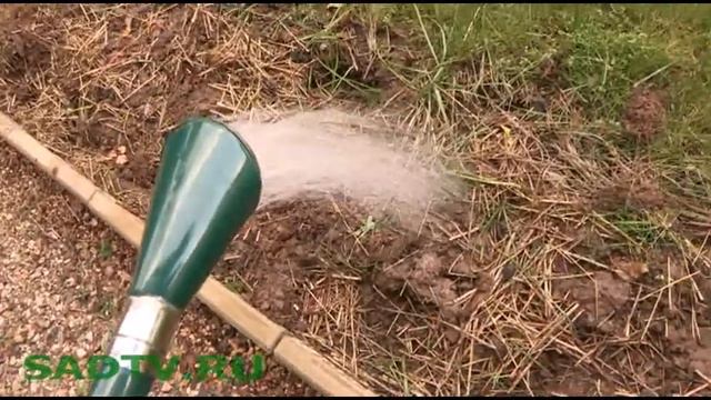 КАК ВЫРАЩИВАТЬ ЗЕМЛЯНИКУ САДОВУЮ НА ОДНОЙ ГРЯДКЕ БОЛЕЕ ТРЁХ ЛЕТ смотреть онлайн