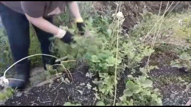 ДАЧА. БЫЛО - СТАЛО / ХОРОШО ПОРАБОТАЛА смотреть онлайн
