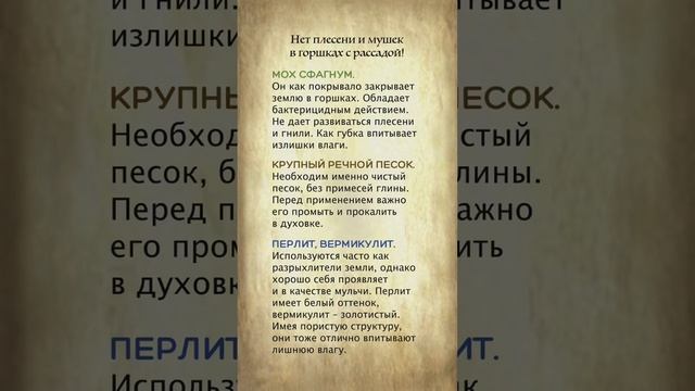 Рассада без плесени и мушек смотреть онлайн