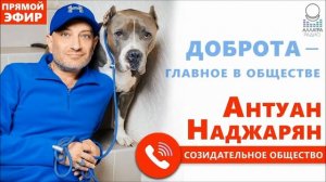 АМБУЛЬ. СПОКОЙСТВИЕ, ТЕРПЕНИЕ, УВЕРЕННОСТЬ, ПОСЛЕДОВАТЕЛЬНОСТЬ, ДИСЦИПЛИНА И ЗДРАВЫЙ СМЫСЛ.